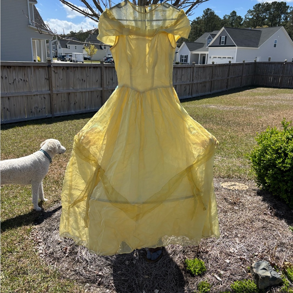 Yellow Vintage Full Skirt Sheer Party Dress 1952!